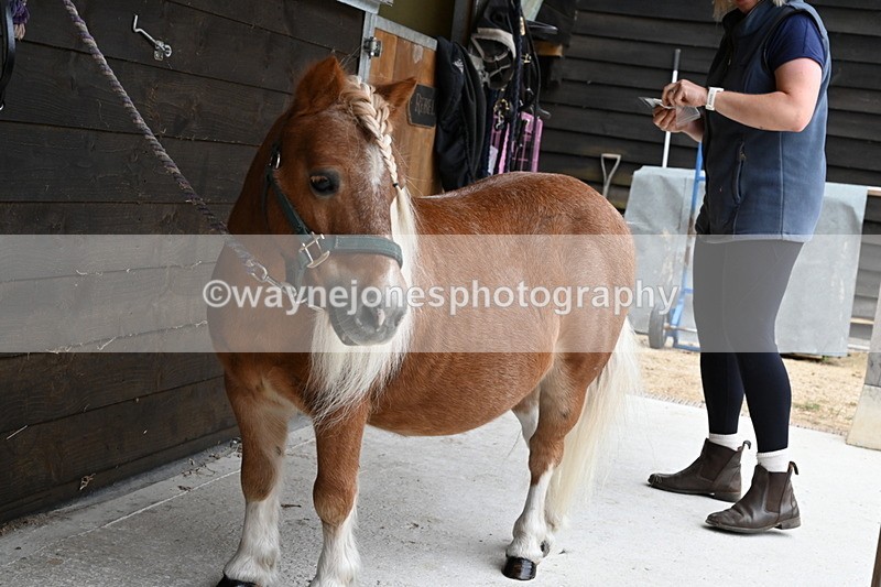 WJ6_2929 - Berks & Bucks - The Old farmhouse - Hound Exercise 20-08-25