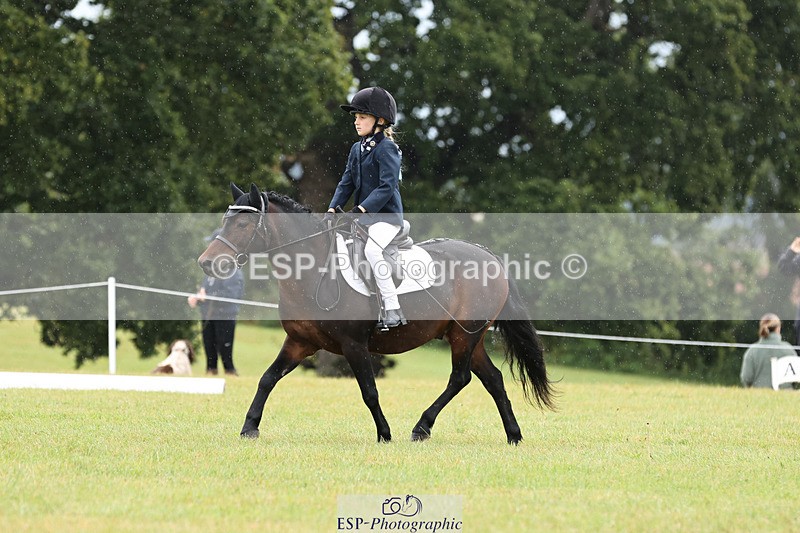 240824X-102815-22245 - D70 Section C and D 9.30 to 11.00