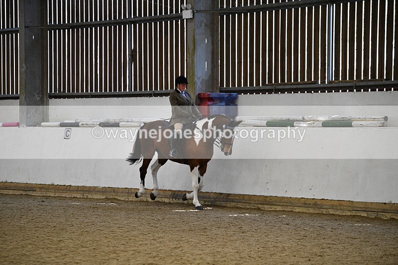 WJ5_5983 - Class 9 Ridden Veteran