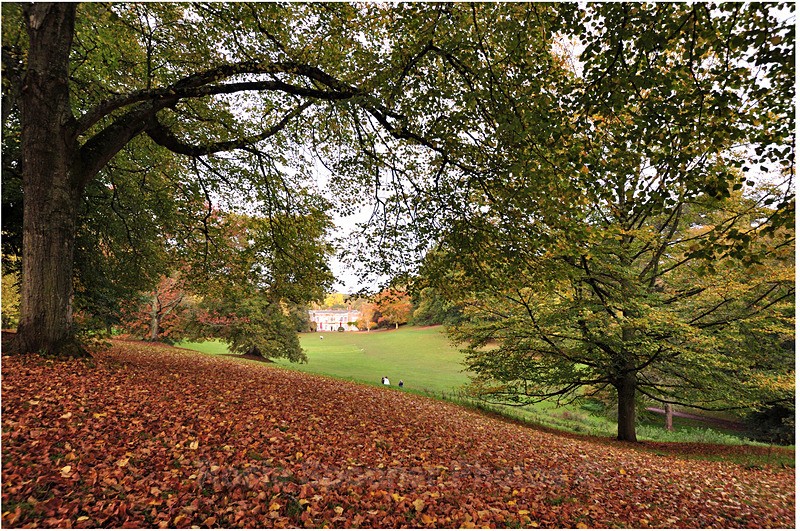 Autumn at Cockington Country Park - Cockington