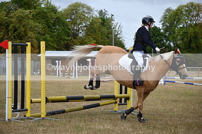 WJ6_9918 - Class 13 Novice Jumping 60cm