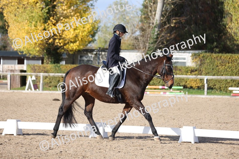 20251101-0633 - Class 5 - Novice 3