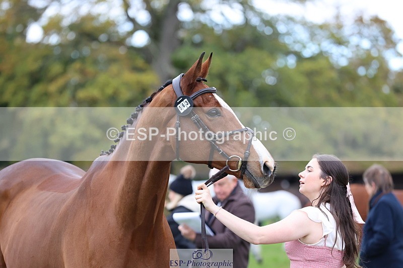 251026A-110145-23459 - G-563-Kirstin.Elisa.Evans