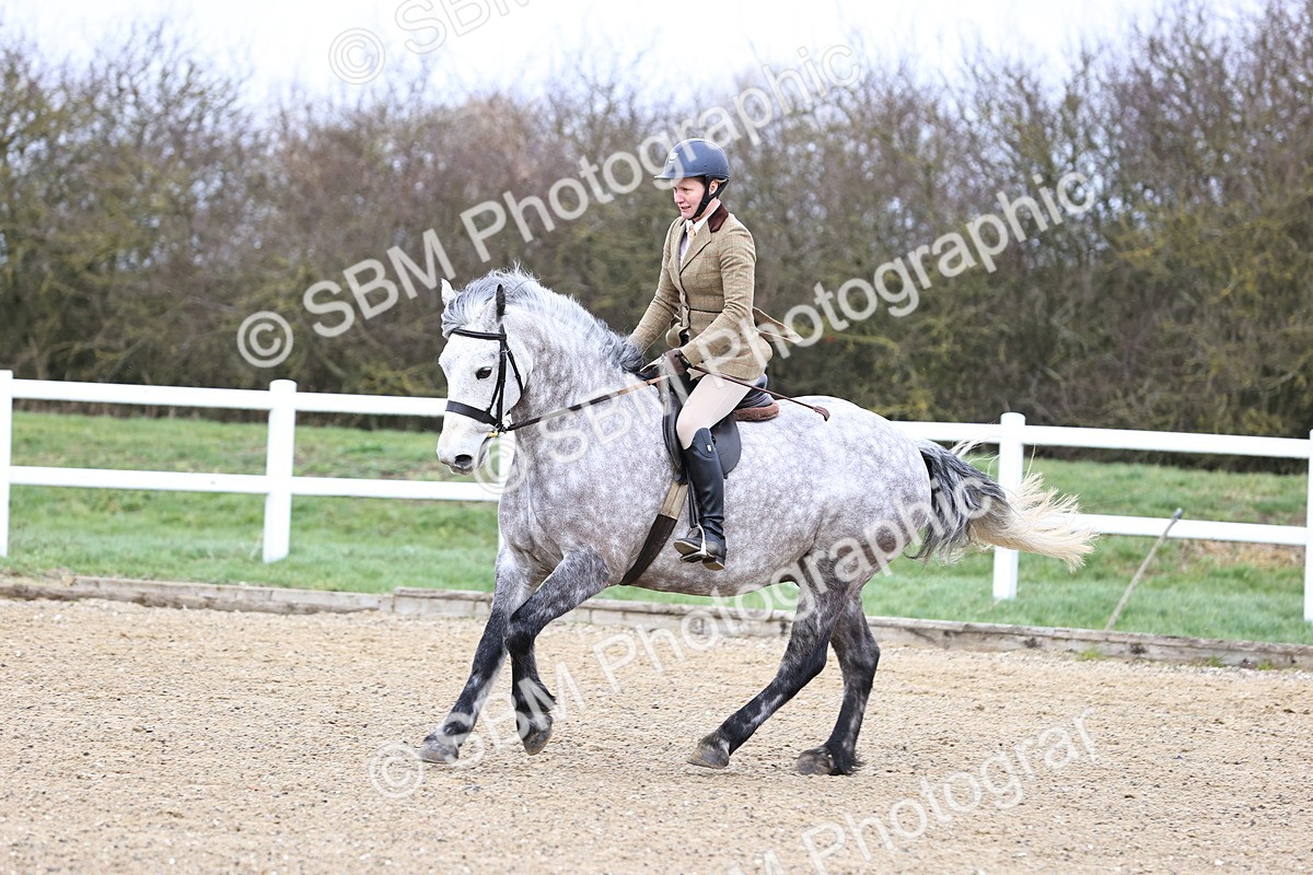 SBM_006944 - Class 29 - 30 - M&M Pure Novice Small-Large Breeds