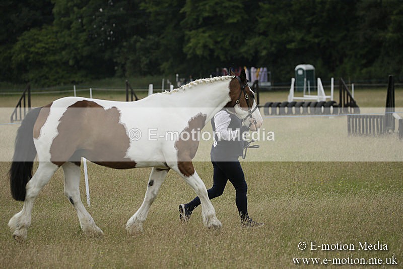 B230619-0258 - Bourne Valley Riding Club Summer Show 23/06/19