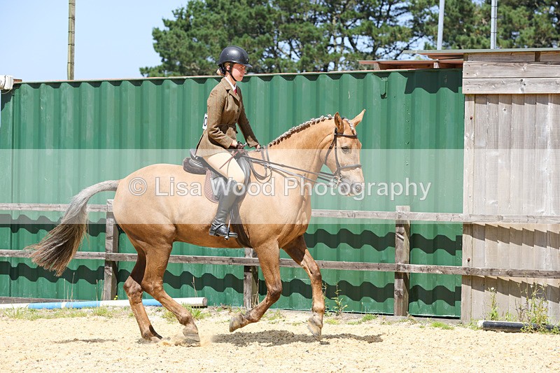 1X9A8788 - Class 19: Riding Club Horse