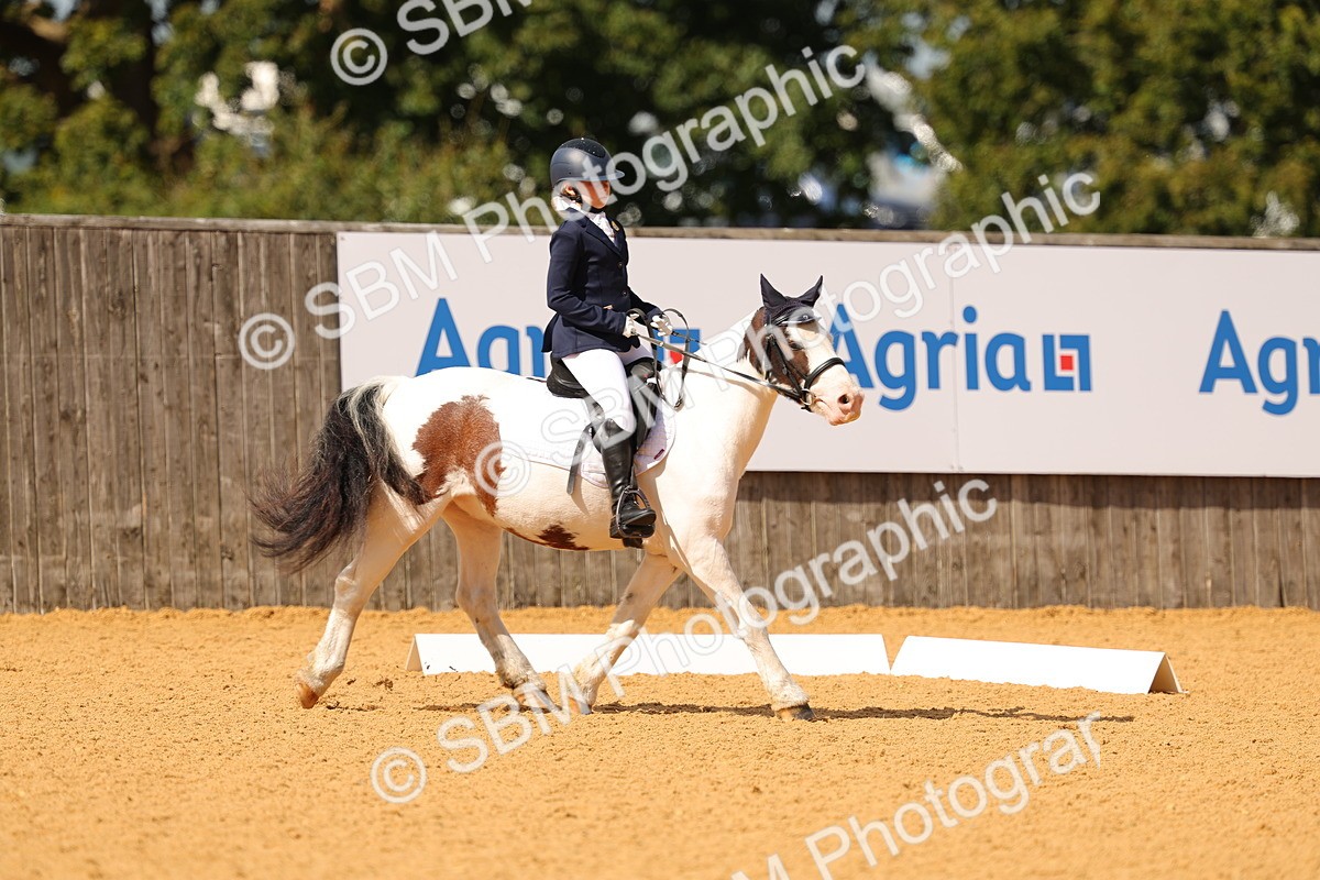 SBM_44086 - D22 - Junior Championship - Intro B