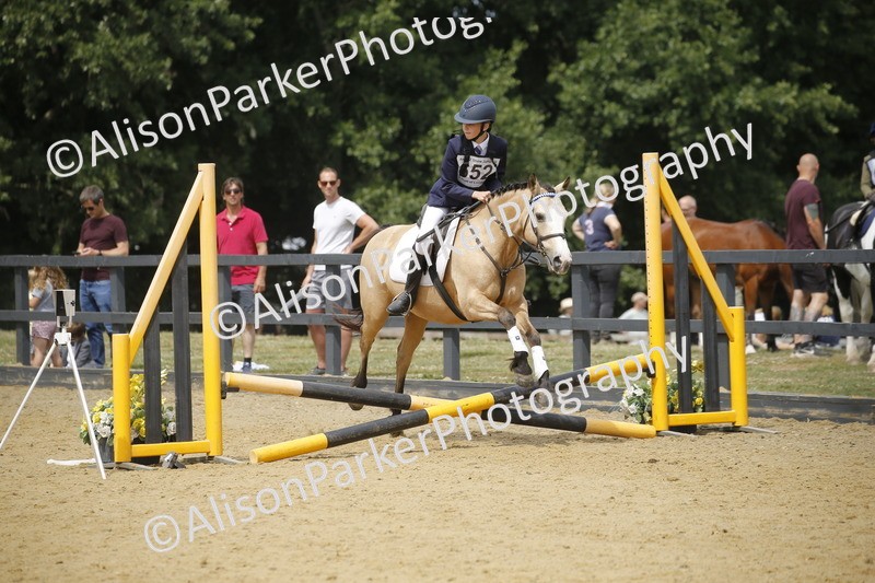 20250622-4651 - 50cm