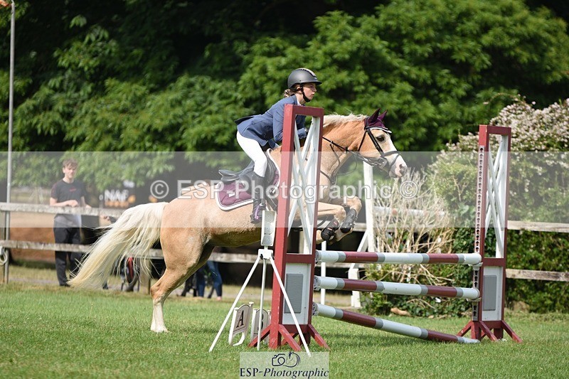 230617-095120-01682 - Cls 15 British Novice & 80cm Open