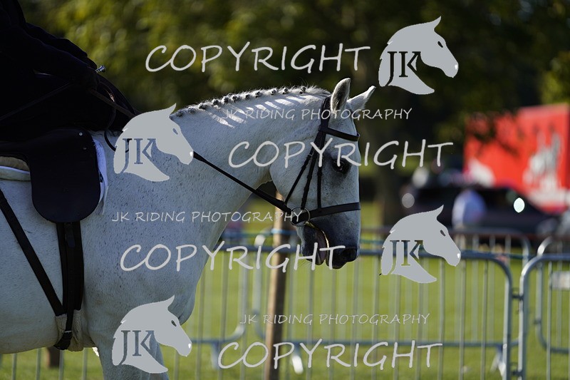 _DSC9484 - Class 8 & 17 Ridden Hunter & Ridden Hunter Pony