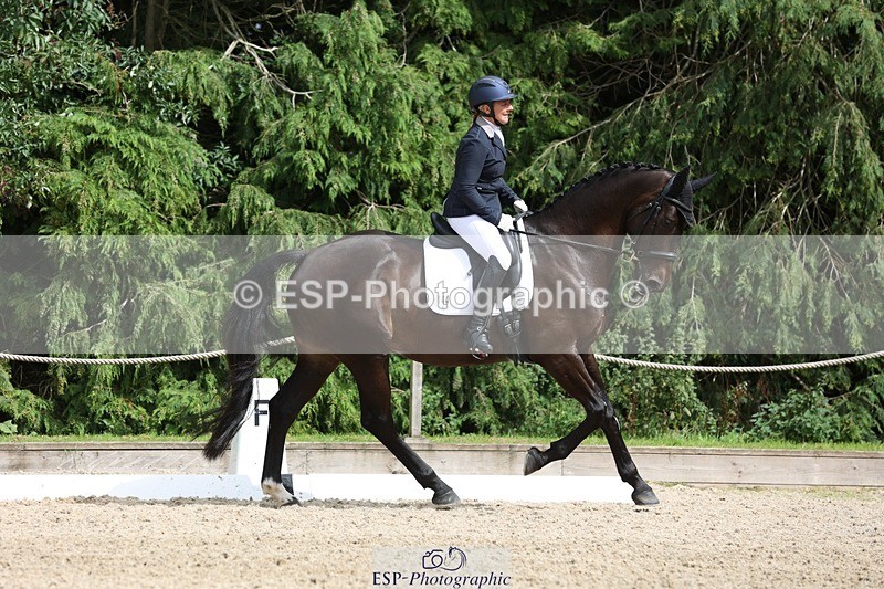 230812-152717-05140 - Cls 5 Novice Bronze 15.00 to End