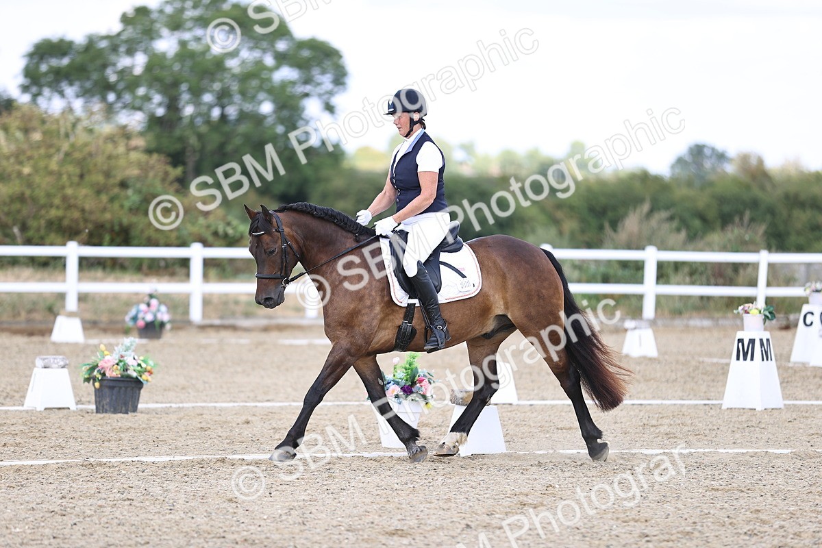 SBM_015335 - Class 5 - E5 Bronze 14.42.15.54
