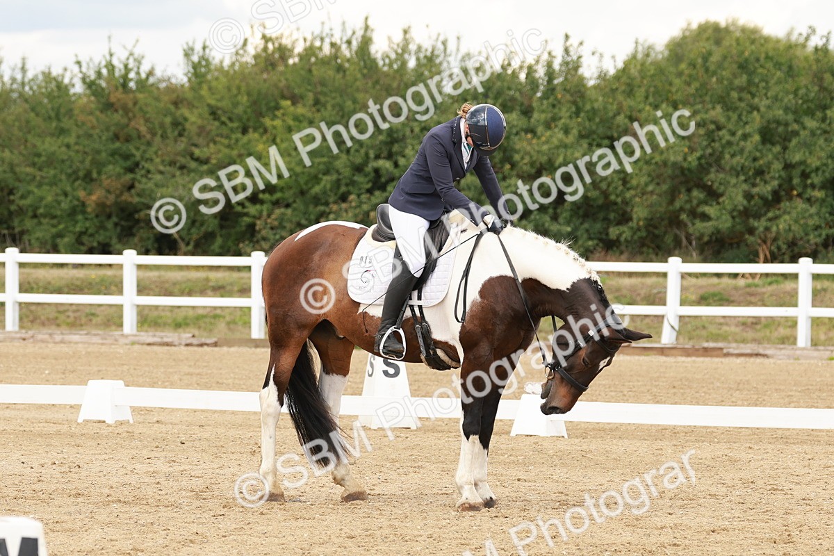 SBM_001844 - Class 8 - Elementary 6