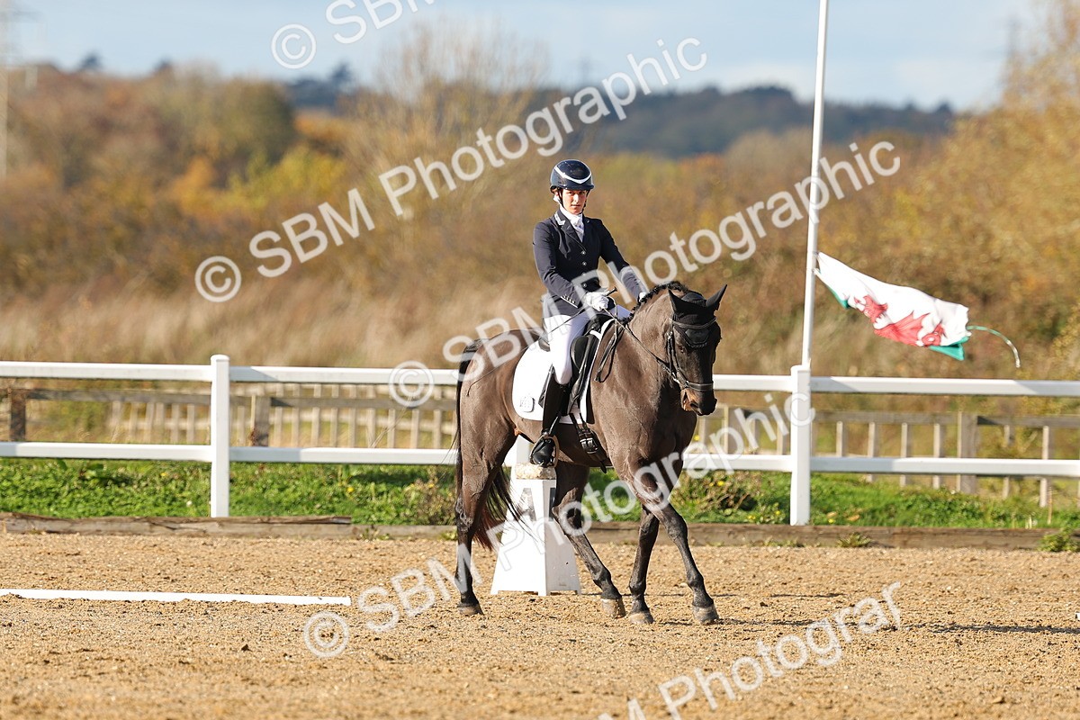 SBM_001384 - Medium 3