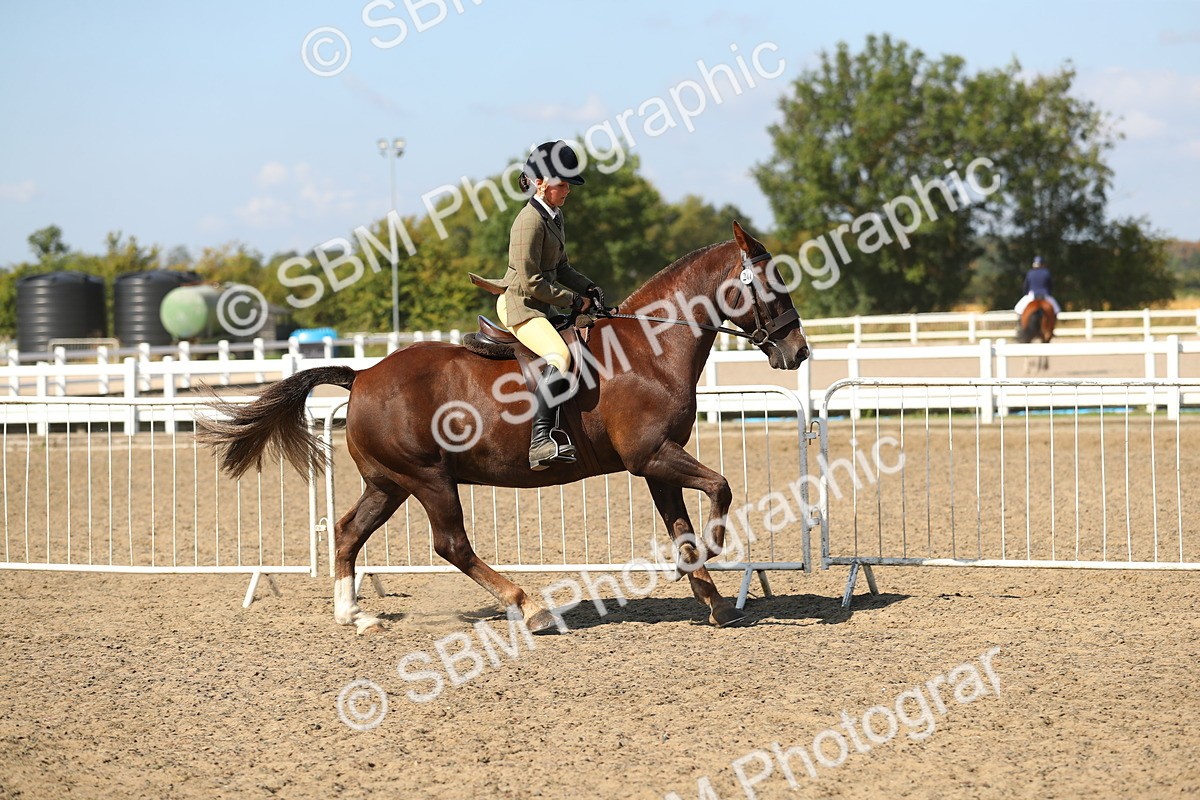 SBM_03134 - Class 44 Riding Club Horse/ Pony