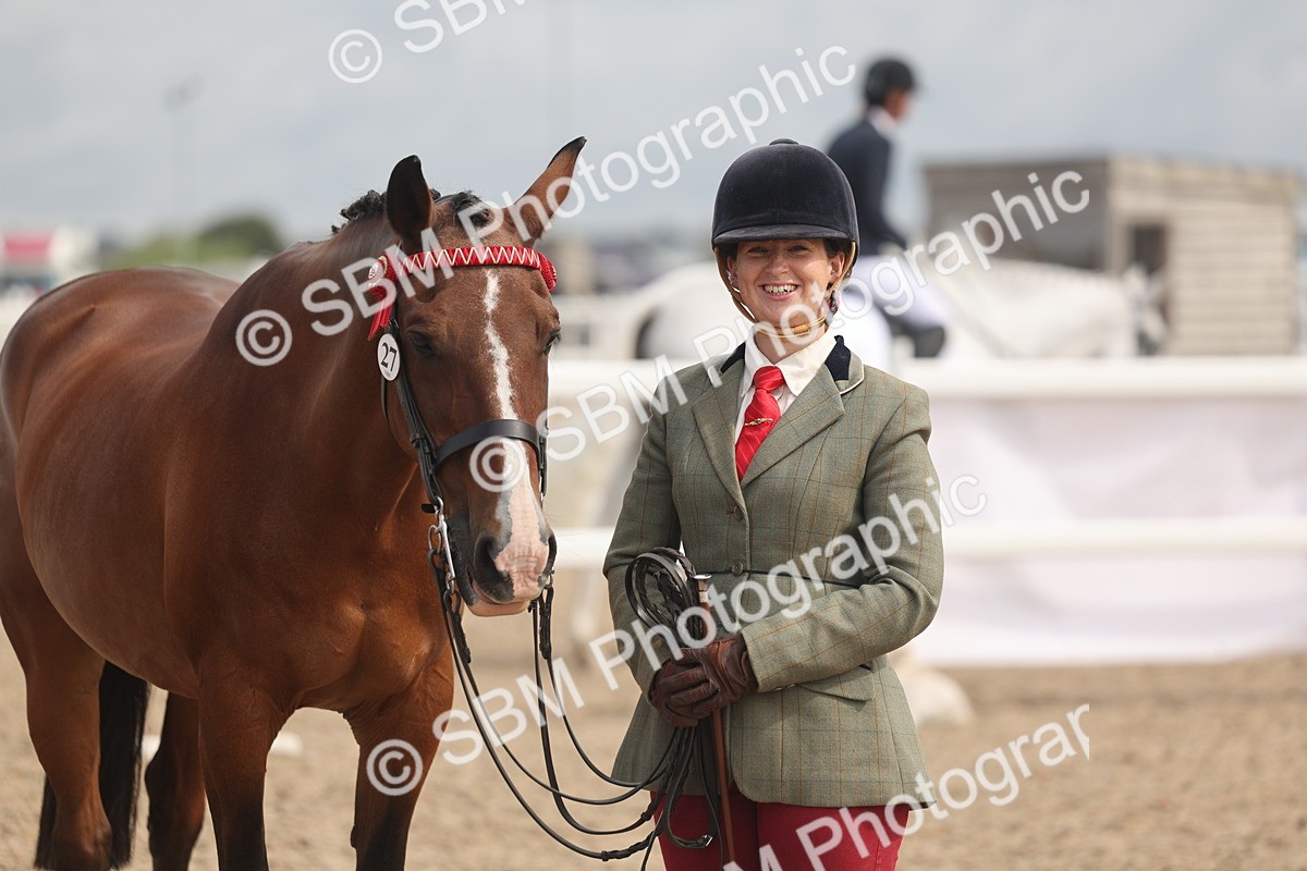 SBM_04461 - Class 18 - Handsomest Gelding (IH or Ridden)