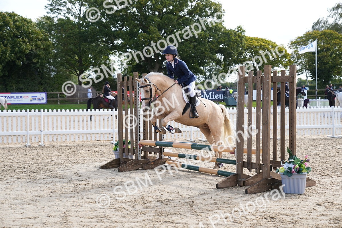 SBM_02617 - J55 - Clear Round 60cm