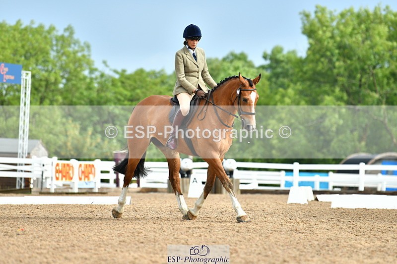 230708A-092402-02073 - Prelim 13