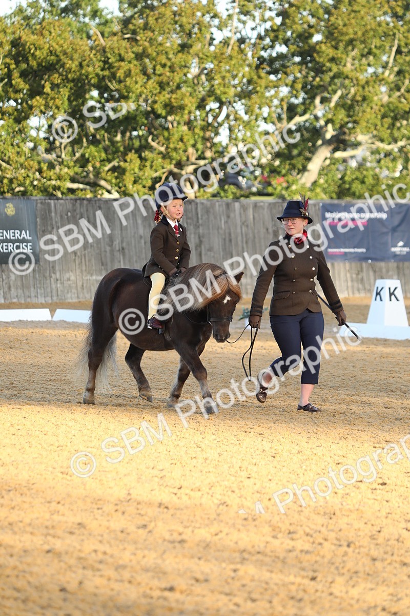 SBM_33546 - D26 - Starers - Lead Rein