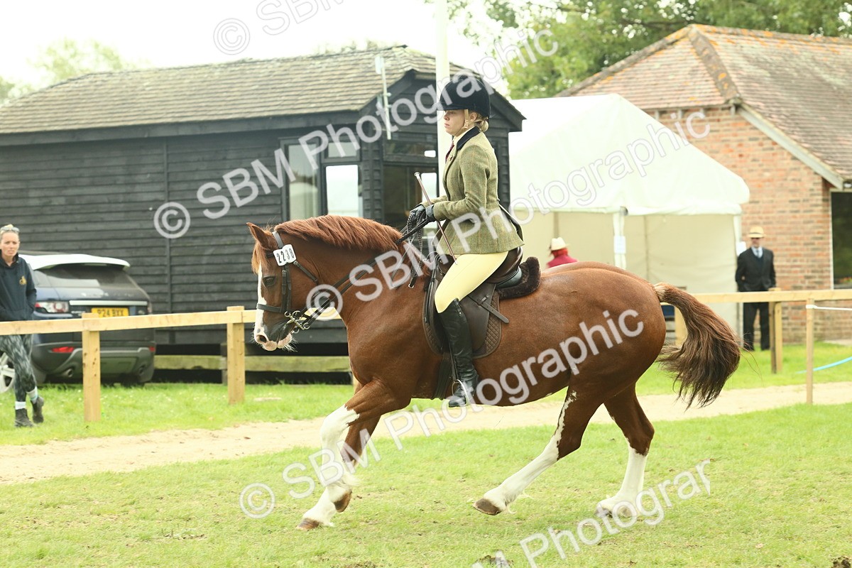 SBM_72123 - S60 - Mountain & Moorland Ridden Large Breeds