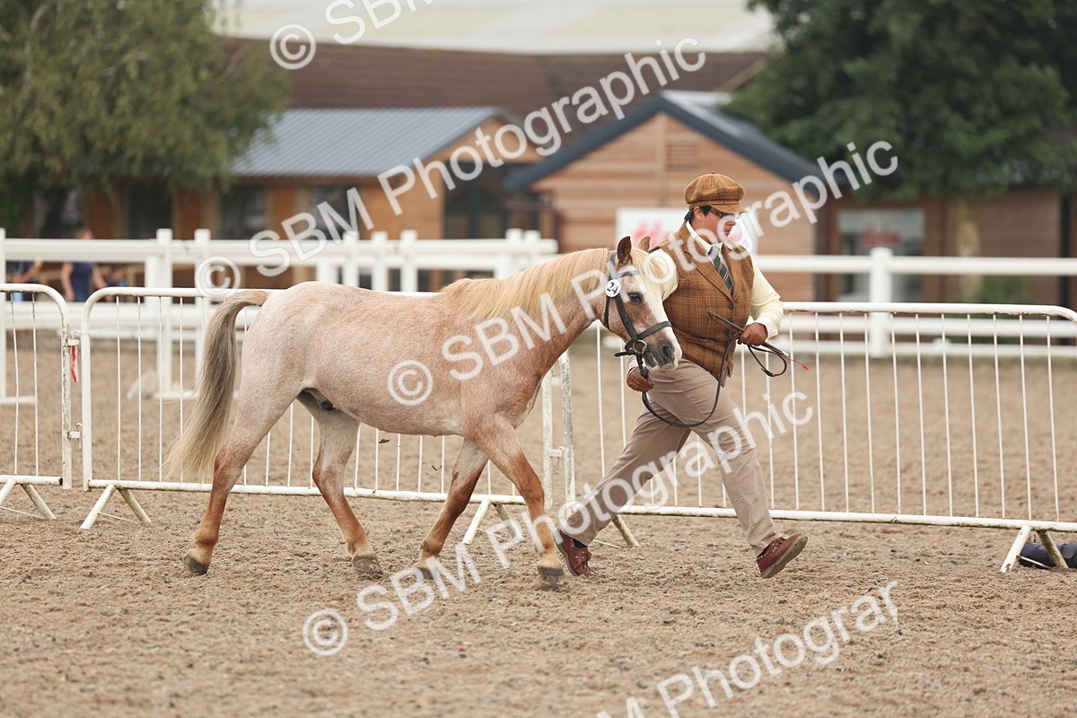 SBM_08460 - Class 29 - IH Veteran Pony