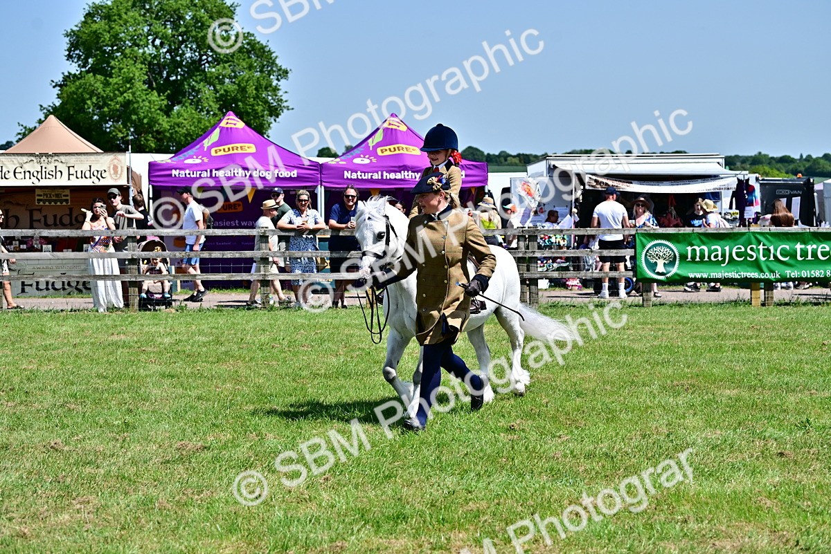 SBM_05883 - Class 59-60 - TSR M&M  Lear Rein and First Ridden Amateur of the year