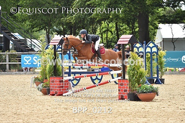 BPP_0212 - RHS 2019 Selection - *Just some random spectator shots so Lucky Dip if you are there!