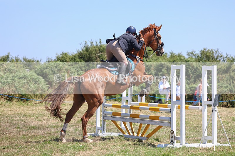 3E7A4426 - Class 10: Senior British Novice/90cm open