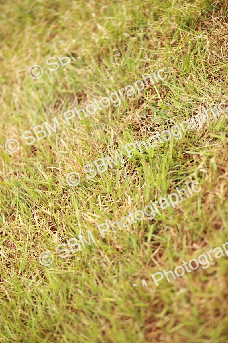 SBM_04541 - Class 5-8 - BSPA In hand