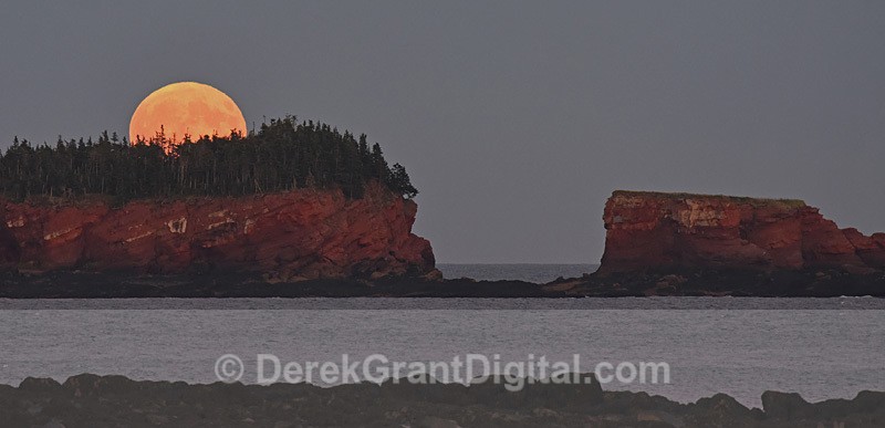 Split Rock Harvest Moon Rise New Brunswick Canada - Fundy Postcards