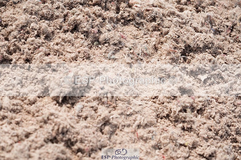 250608-100356-01832 - Cls 4 Pony British Novice and 80cm