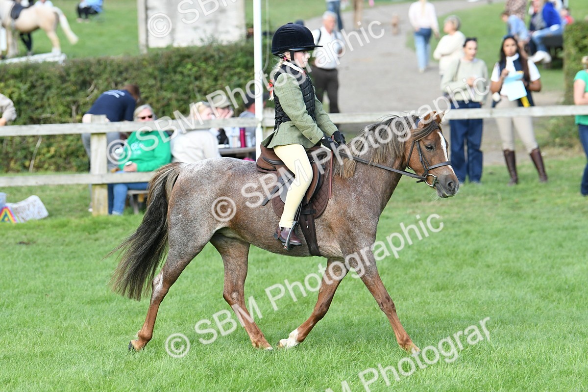 SBM_51844 - S21 - Novice & Newcomers 1st Ridden Pony