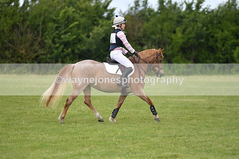 WJ5_2486 - Class 2 40cm