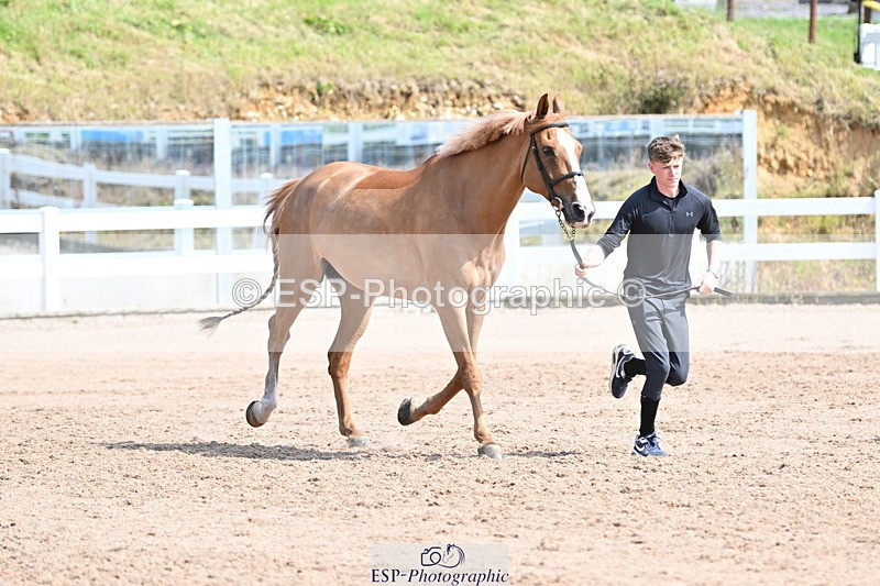 240717A-153657-02913 - Trot Up 3pm to 4pm