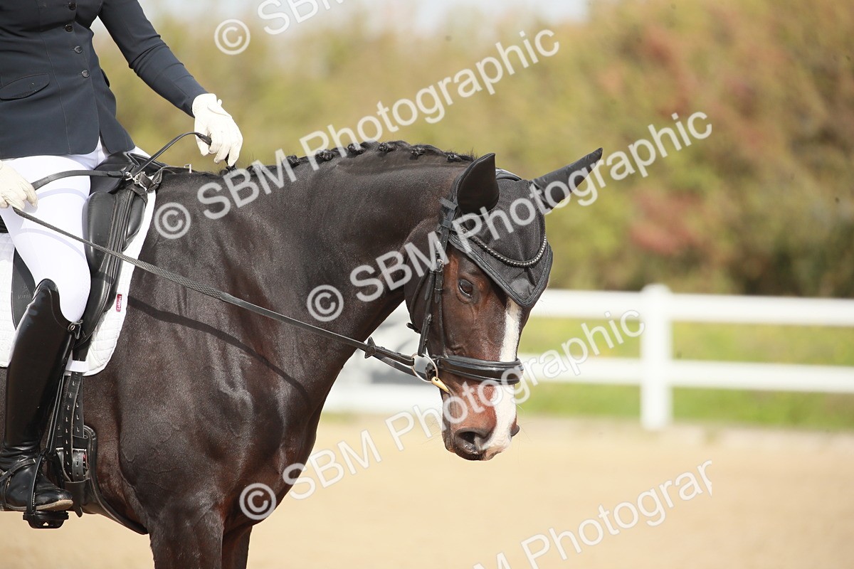 SBM_001938 - Class 4 - Novice 5