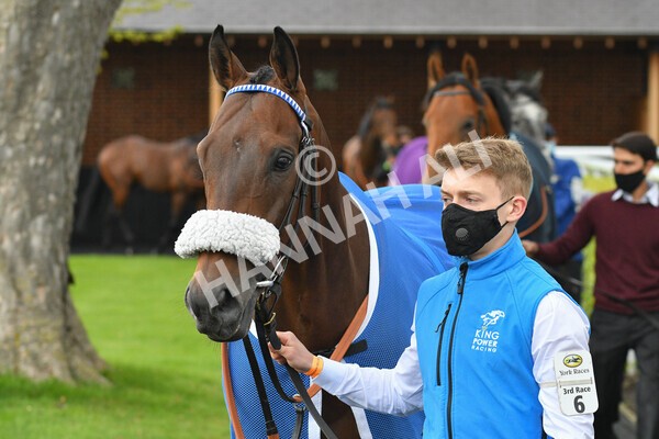 yr14052021r2-3 - Race 2 2.10pm Oak Farm Stables Fillies' Stakes (registered as the Michael Seely Memorial Stakes)