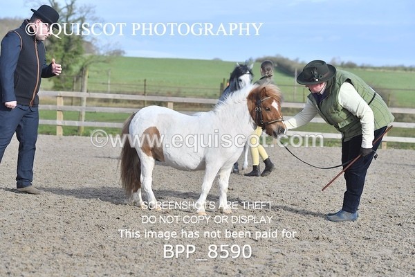 BPP_8590 - RING 2 - M&M