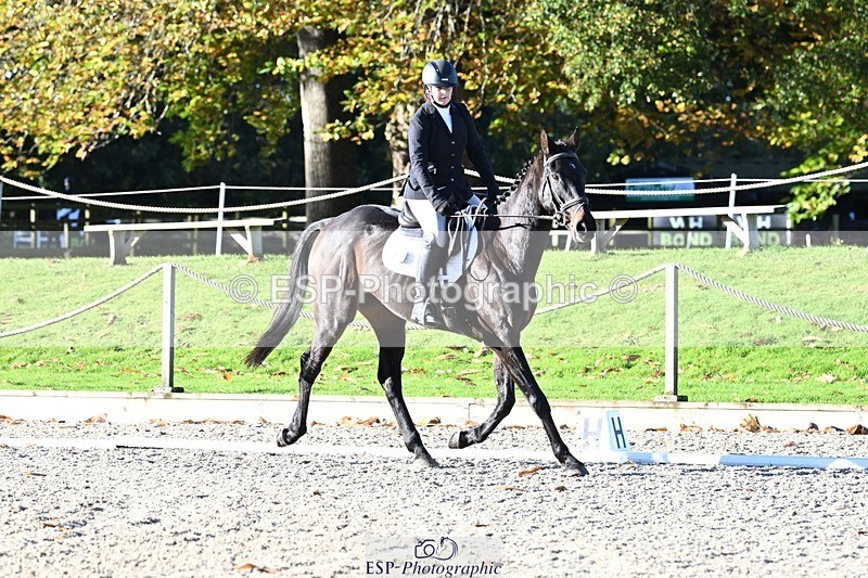 231110-101035-00013 - Cls 2 Prelim 17(a)Q