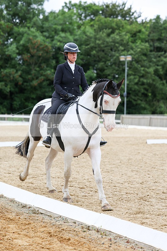 3E7A0834 - Class 6: Novice 1 2024 Section B