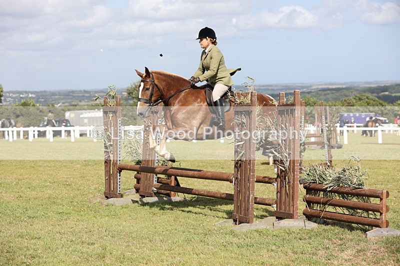 JPP_2517 - Class 20: Working Hunter 70cm