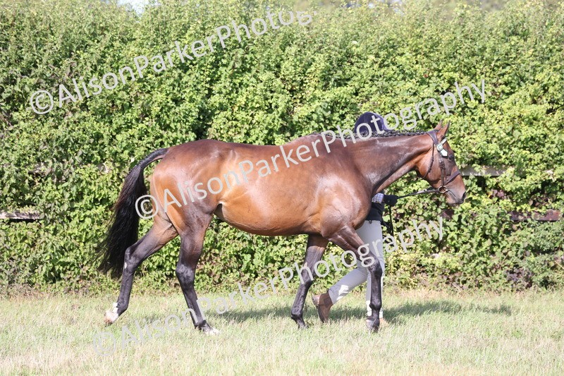20260906-0666 - Class 22 - Ex Racehorse