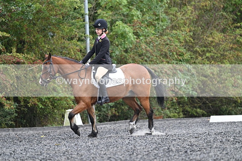 WJ7_3933 - Time 11:04 to 11:38