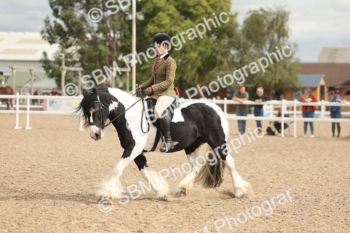 SBM_18005 - Class 314 - Family Horse Pony