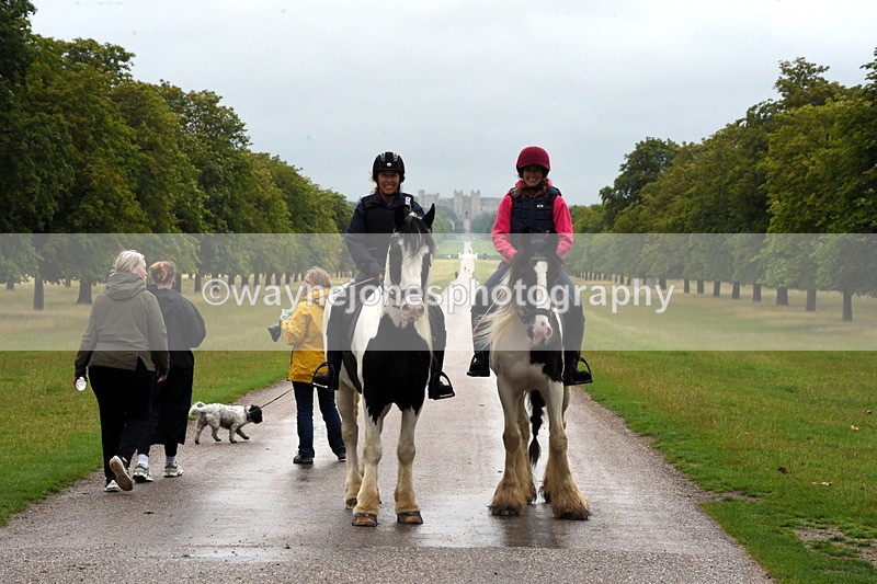 TT3_8205 - Time at Crossing 09:15 to 10:15