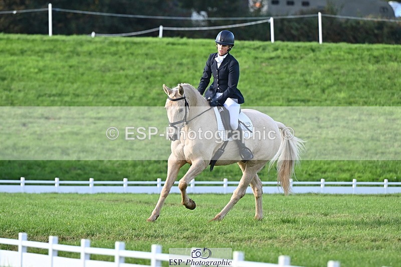 251024A-151022-13978 - E-395-Rolline.OCallaghan