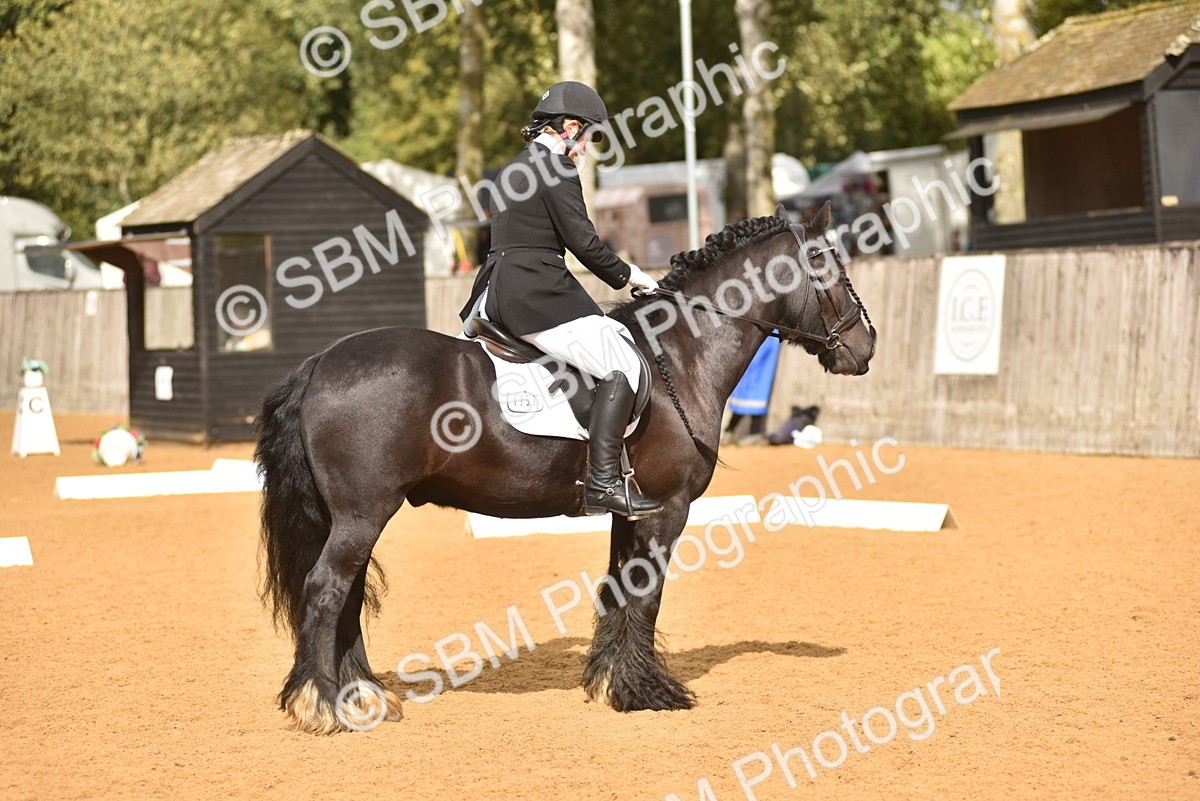 SBM_10138 - D15 - Small Tour Championship Novice 1