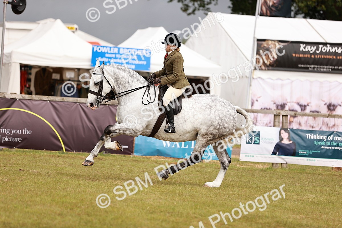 SBM_13028 - Class 85-87 - RIHS Cobs