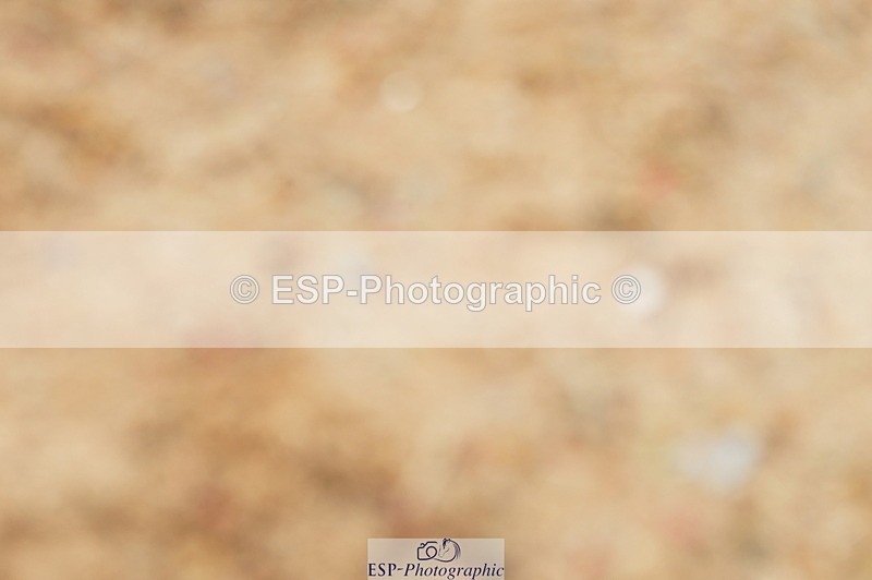 240317A-154524-07793 - Cls 29 Snr Foxhunter