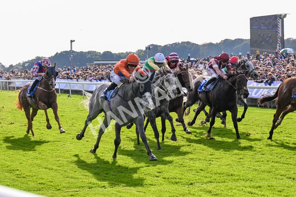 111025-Race 2-Grey Cuban-0268 - Race 2 Coral 'Pipped At The Post' Handicap at York