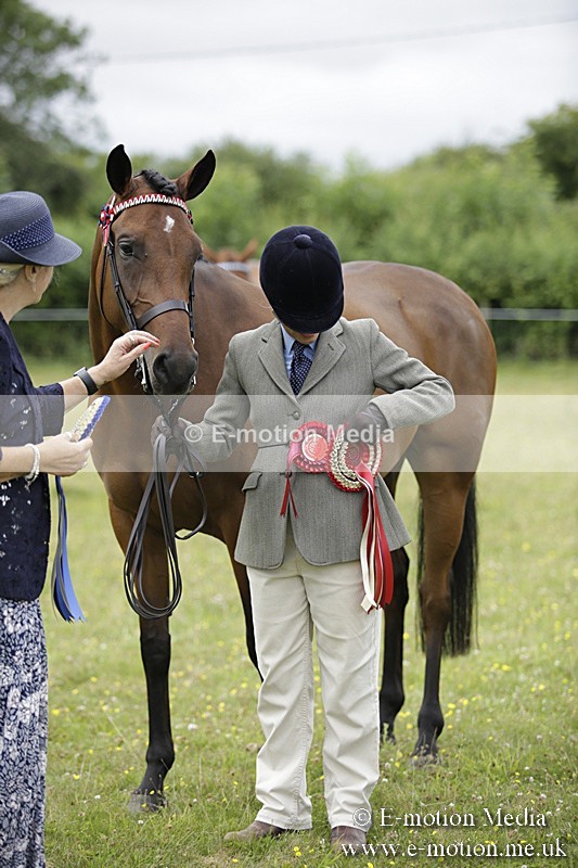 BVR160717-1119 - In Hand Championship 16/07/17